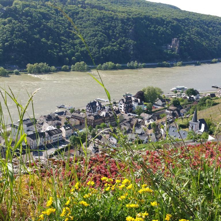 Eismauer Suite Rüdesheim am Rhein Exteriér fotografie